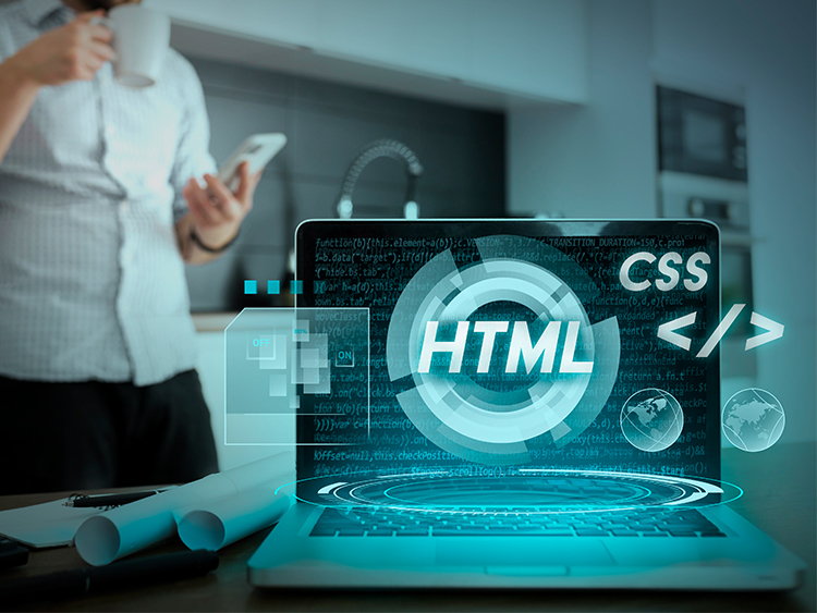 No.1 Website Design & Development Services in Your Local Area