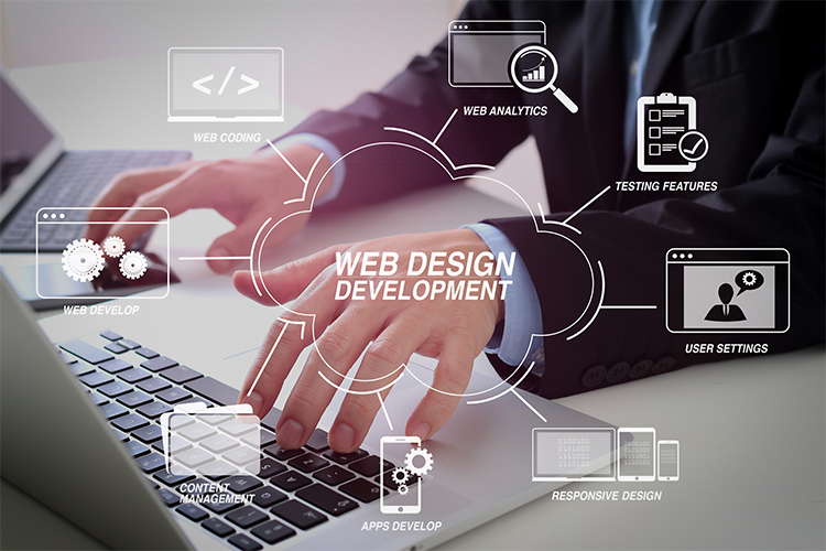 Website Designing & Development Agency in Noida